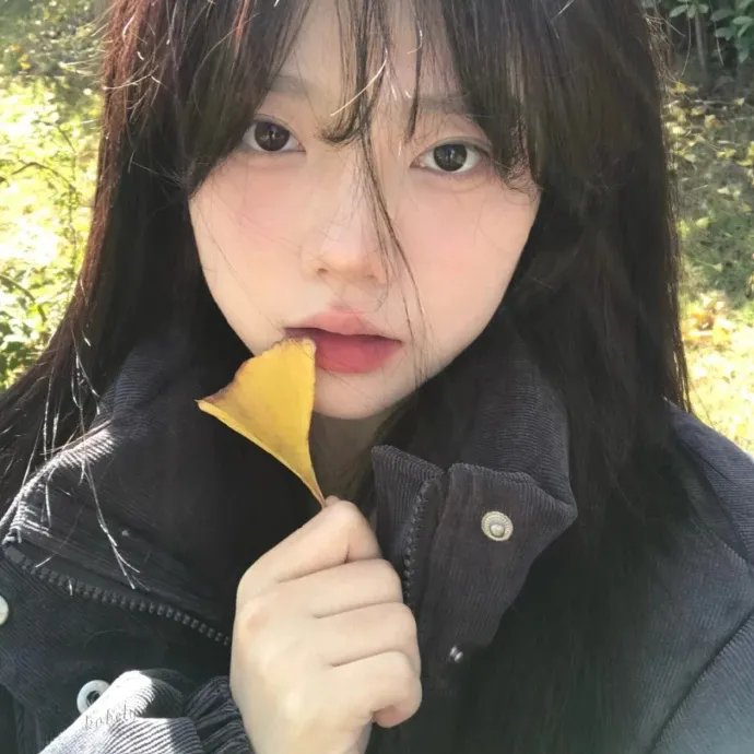高分精选